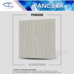 Gạch Granite PN80208
