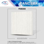 Gạch Granite PN80202