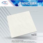 Gạch Granite PN60105