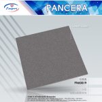 Gạch Granite PN60019