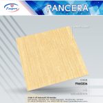 Gạch Granite PN60206