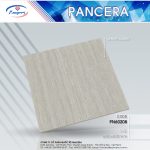 Gạch Granite PN60208