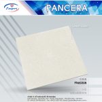 Gạch Granite PN60308