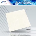 Gạch Granite PN60322
