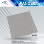 Gạch Granite PN60324