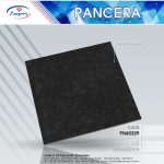 Gạch Granite PN60329