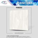 Gạch Granite PN80252