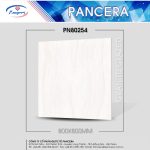 Gạch Granite PN80254