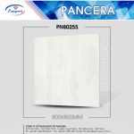 Gạch Granite PN80255