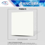 Gạch Granite PN80615