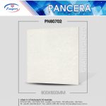 Gạch Granite PN80702