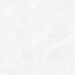 BD606268